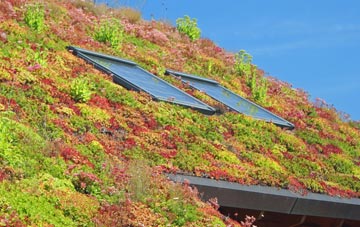 Caundle Marsh living roof systems