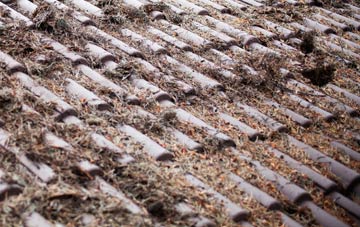 Caundle Marsh roof cleaning companies