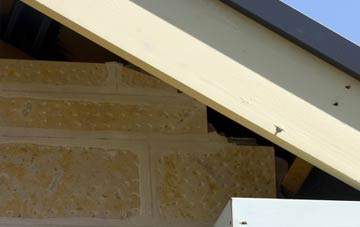 soffit repair Caundle Marsh