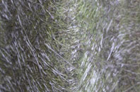 Caundle Marsh fibreglass roof work